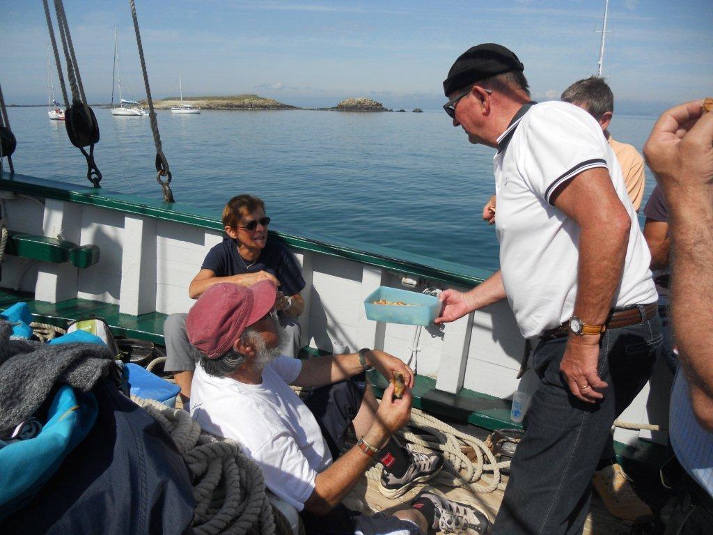 Les lougriers glenans 2015 5